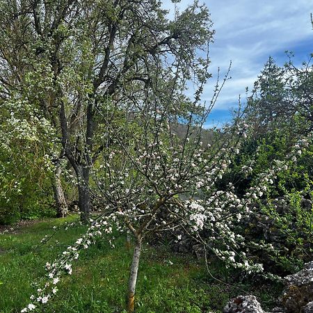 El Pecu Casa Rural Starfamiliar Bustillo Del Paramo Ngoại thất bức ảnh